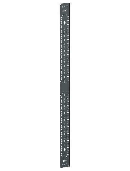 ITK LINEA S Органайзер кабельный вертикальный 42U черный